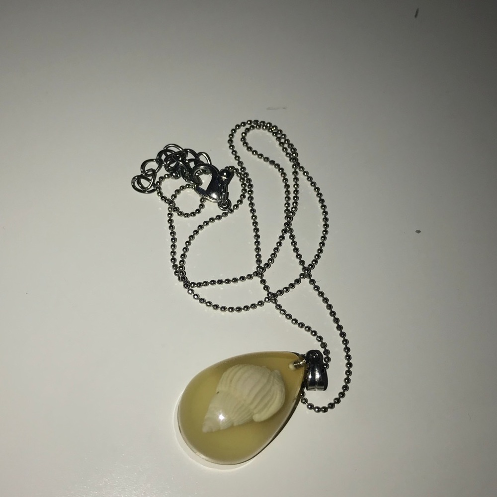 Seashell necklace